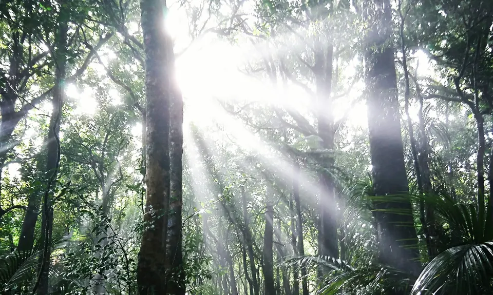 Hilly Hakarimata, Waikato