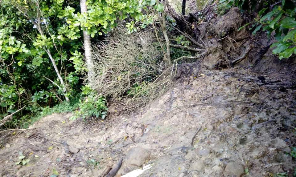 Mangemangeroa Track, Auckland