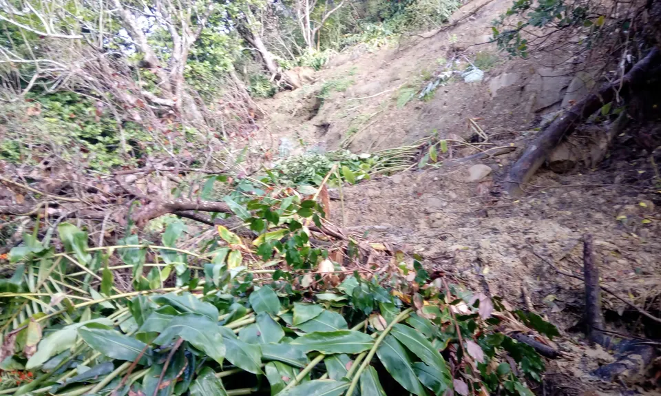 Mangemangeroa Track, Auckland