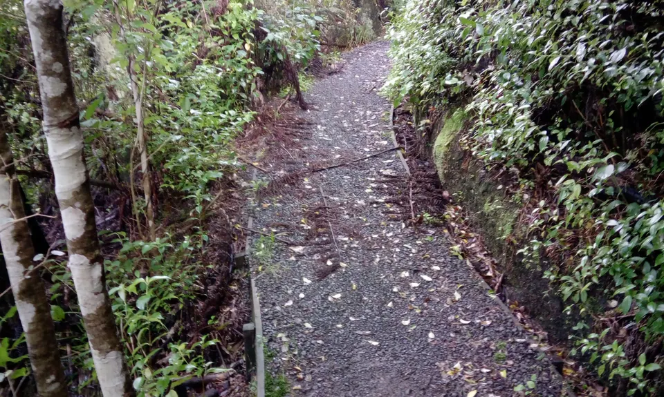 Mangemangeroa Track, Auckland
