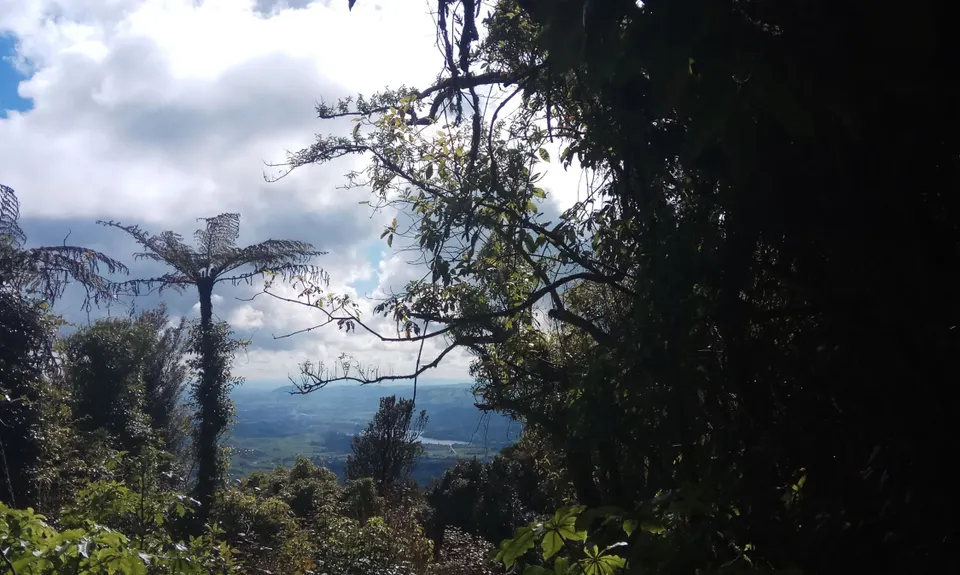 Maungatautari crazy 8, Waikato