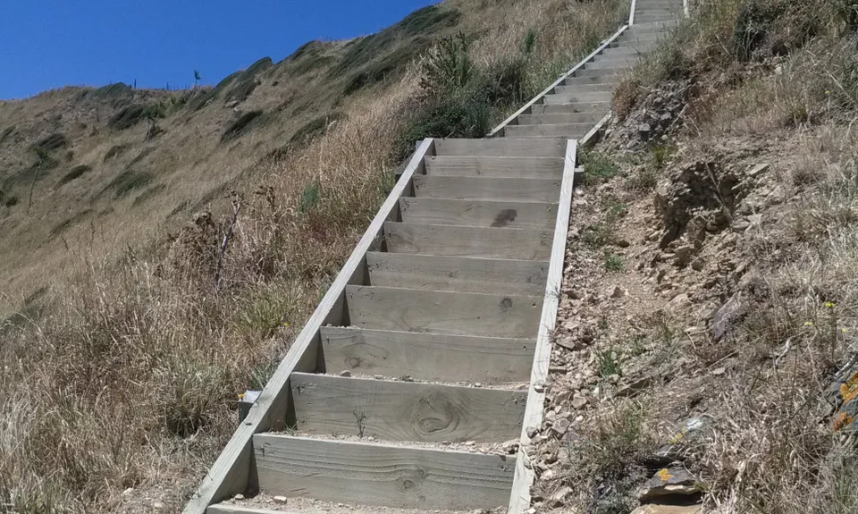 Escarpment Track, Wellington