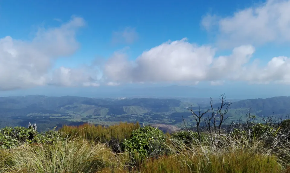 Kapakapanui Loop, Wellington
