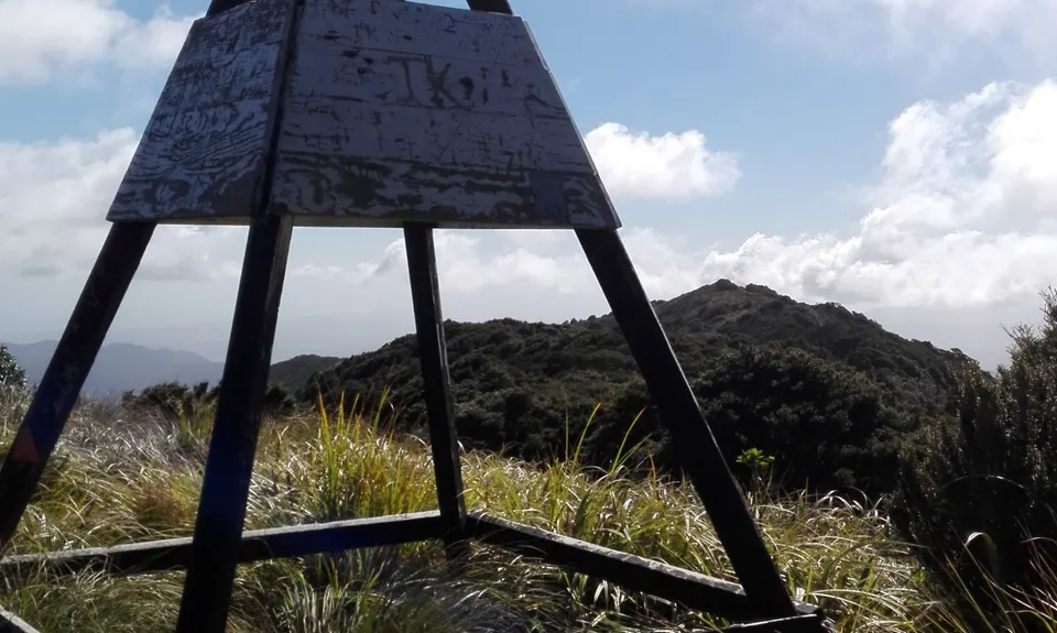 Kapakapanui Loop, Wellington