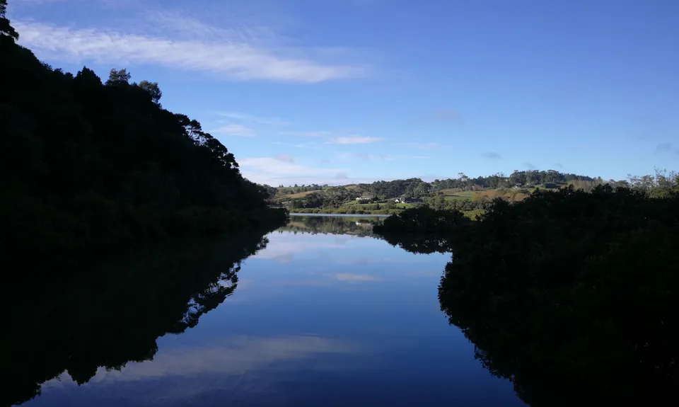 Okura Bush, Auckland