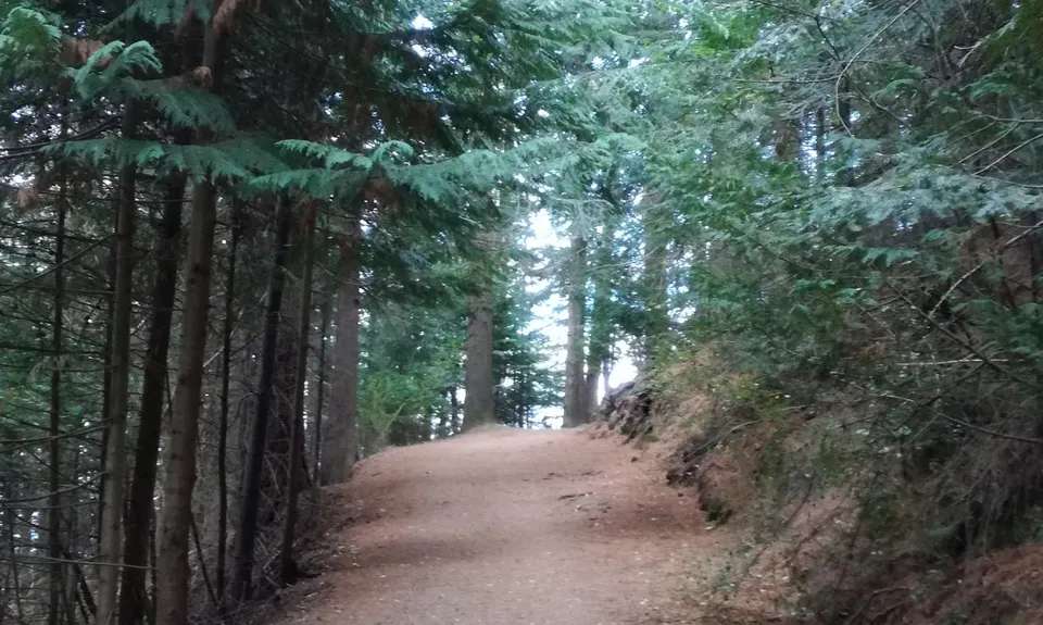 Hanmer 10km loop, Canterbury