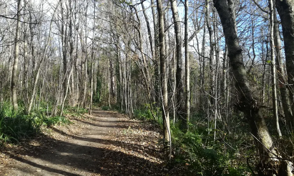 Hanmer 10km loop, Canterbury