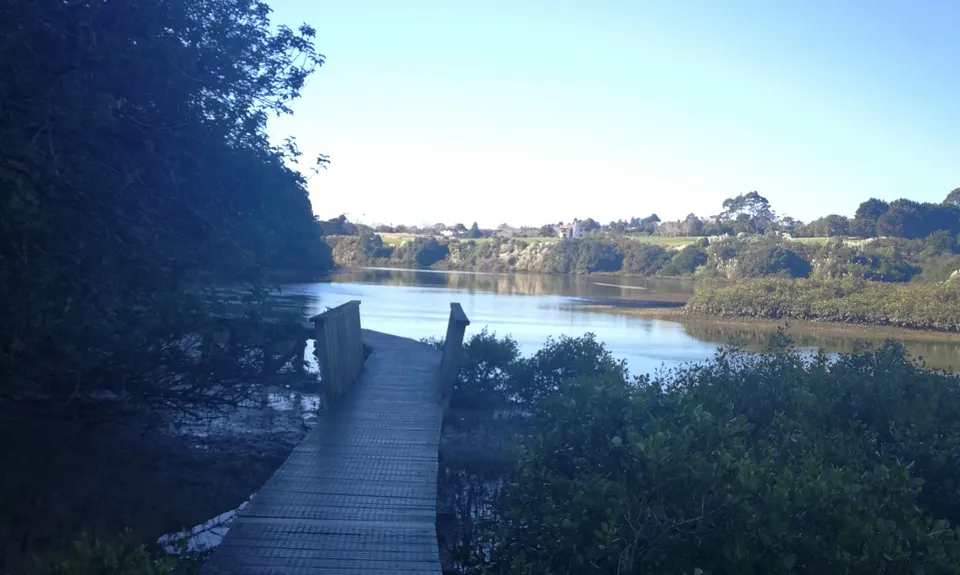 Mangemangeroa Track, Auckland