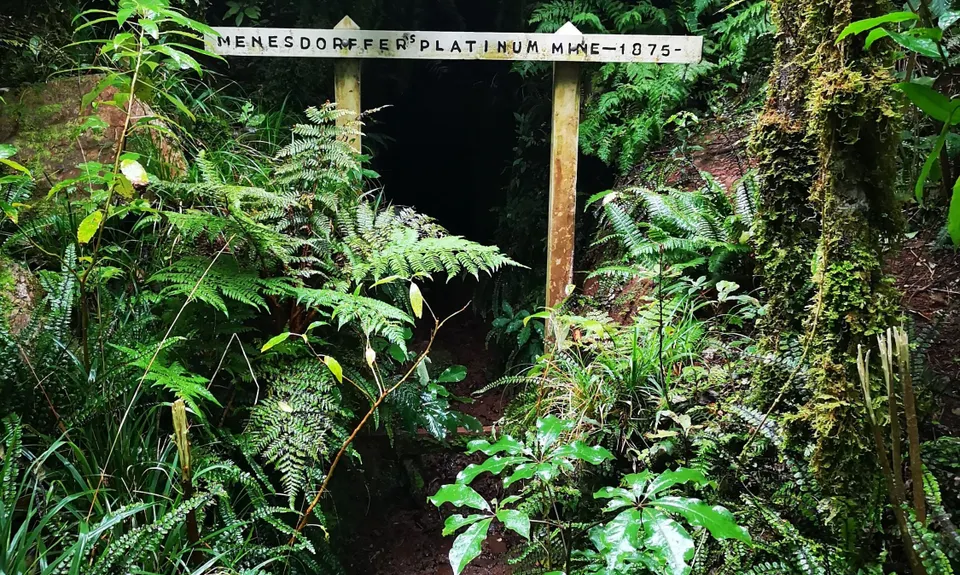 Sledge Track with Toetoe Loop & Otangane Loop, Manawatu - Wanganui