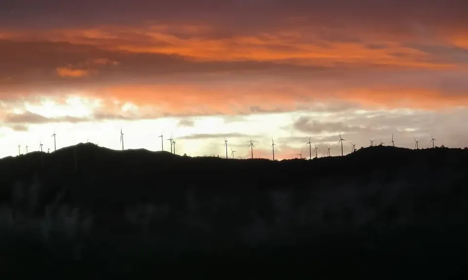 Tawa Loop - Manawatu Gorge, Manawatu - Wanganui
