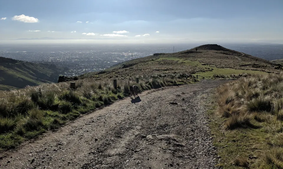 Bowenvale / Huntsbury Loop, Canterbury