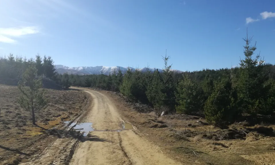 The Great Naseby Loop, Otago