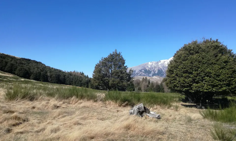 Hogsback Track, Canterbury