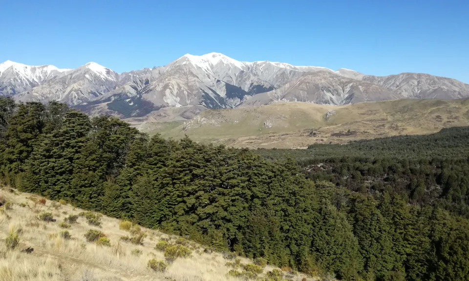 Hogsback Track, Canterbury