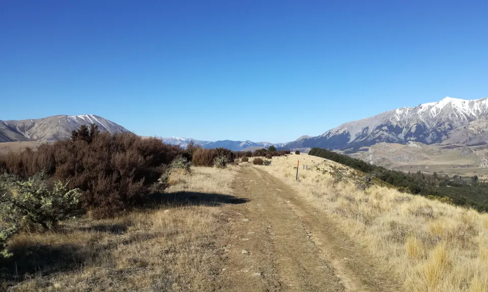 Hogsback Track, Canterbury