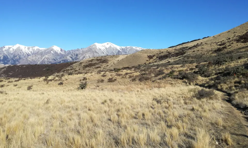 Hogsback Track, Canterbury