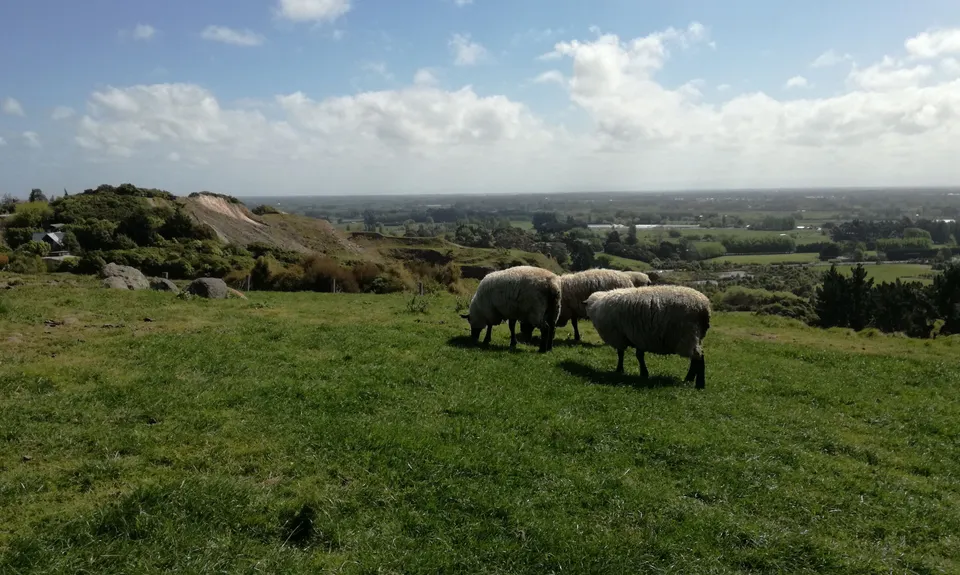 Little Learner Loop (Halswell Quarry) , Canterbury