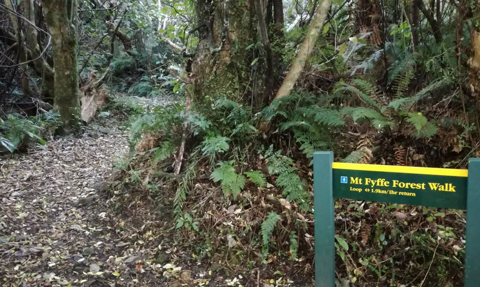 Mt Fyffe Walkway, Canterbury