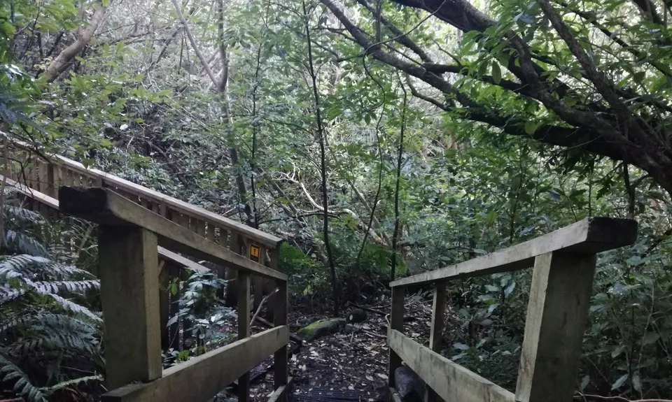 Mt Fyffe Walkway, Canterbury