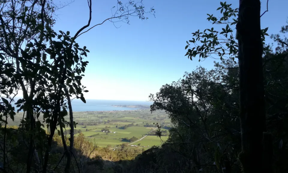 Mt Fyffe Walkway, Canterbury