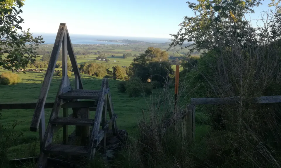 Mt Fyffe Walkway, Canterbury