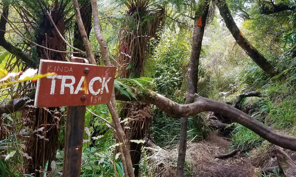 Pirongia Loop of Awesomeness, Waikato