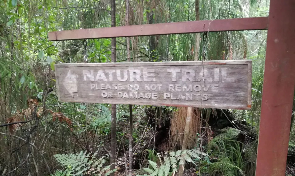 Ultimate Ulva, Southland
