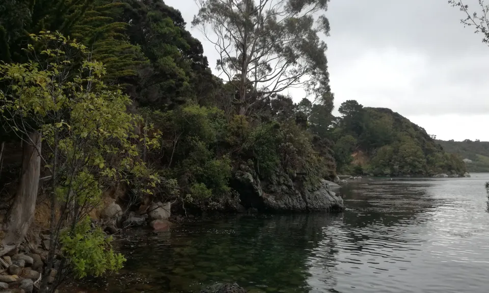 Bragging About Horseshoe Point, Southland
