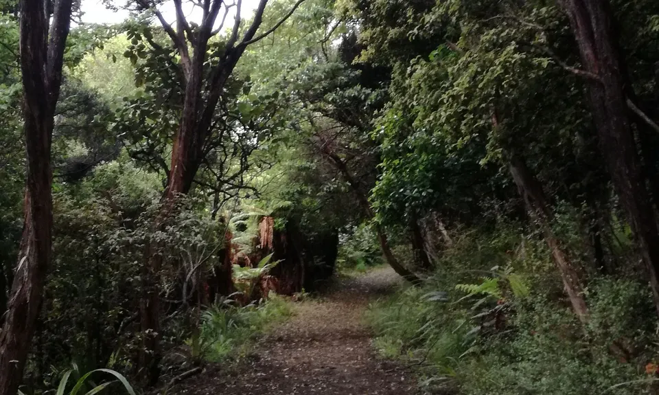 Bragging About Horseshoe Point, Southland