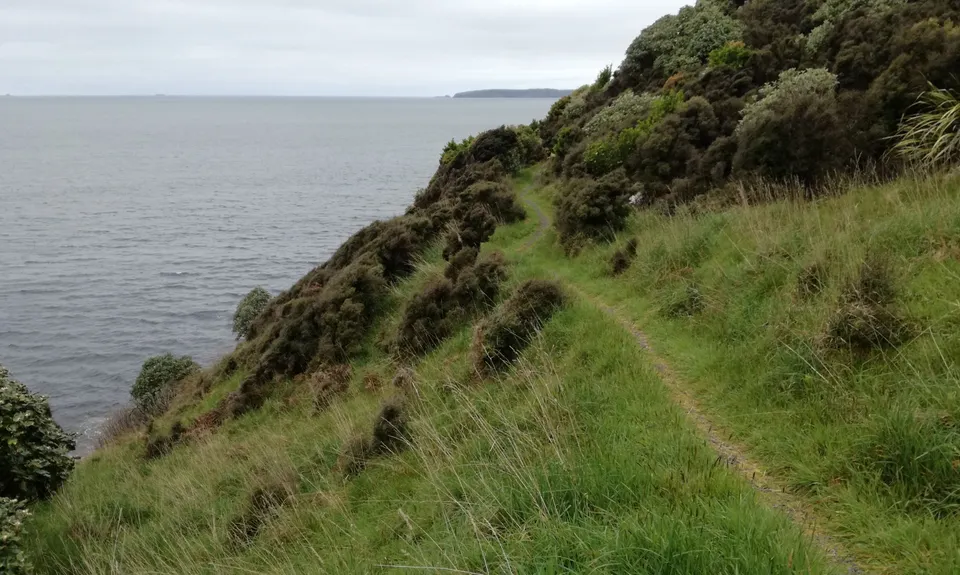 Bragging About Horseshoe Point, Southland