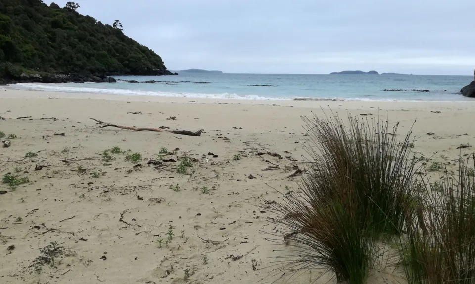 Bragging About Horseshoe Point, Southland
