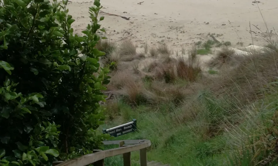 Bragging About Horseshoe Point, Southland