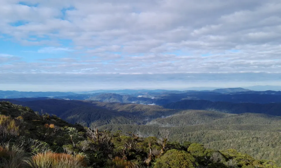 Renata Ridge - Kaitoke, Wellington