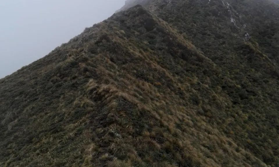 Renata Ridge - Kaitoke, Wellington
