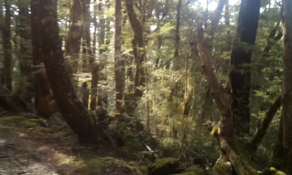 Waiuta Ghost Town, West Coast