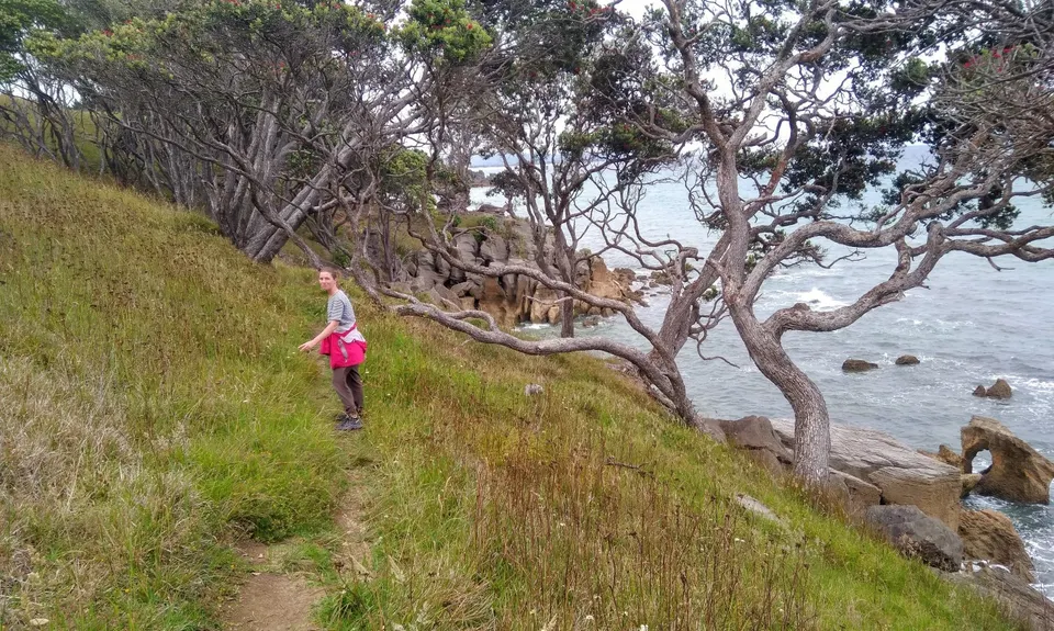 Waipu Coastal Trail loop, Northland