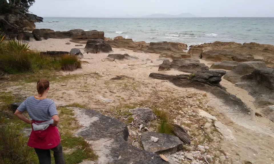 Waipu Coastal Trail loop, Northland