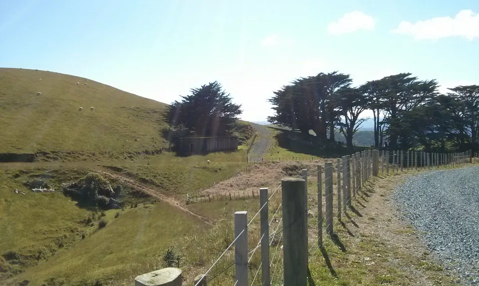 Puke Ariki Traverse, Wellington