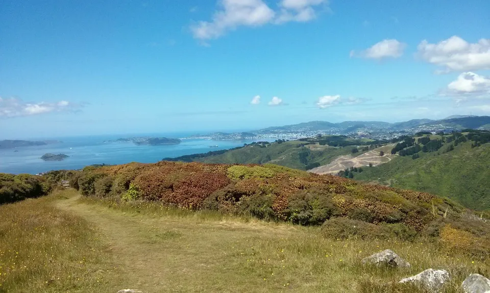 Puke Ariki Traverse, Wellington