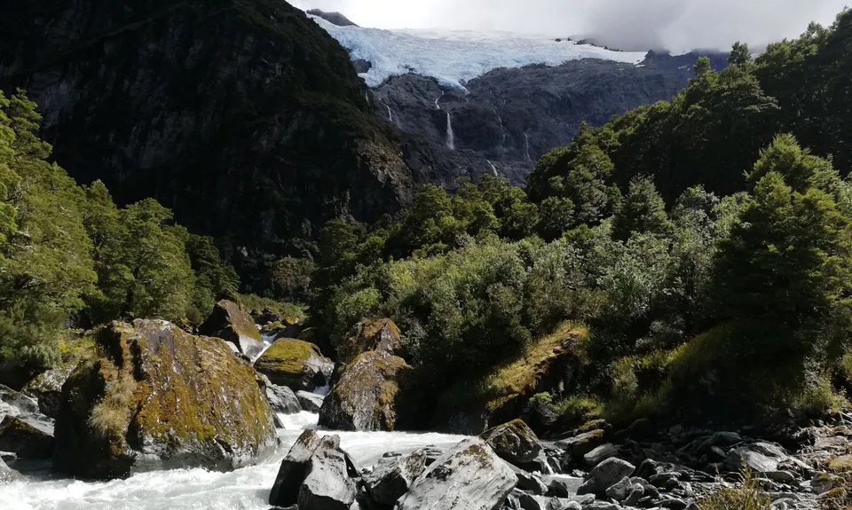 Rob Roy Glacier Track, Otago