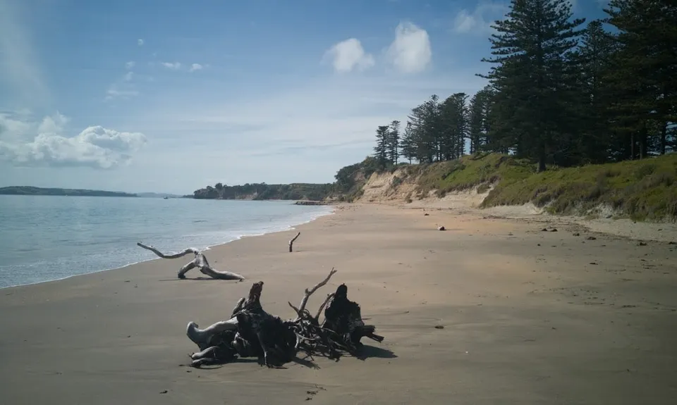Motuihe Island Loop, Auckland