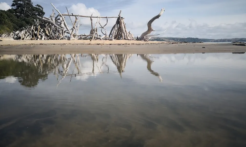 Motuihe Island Loop, Auckland