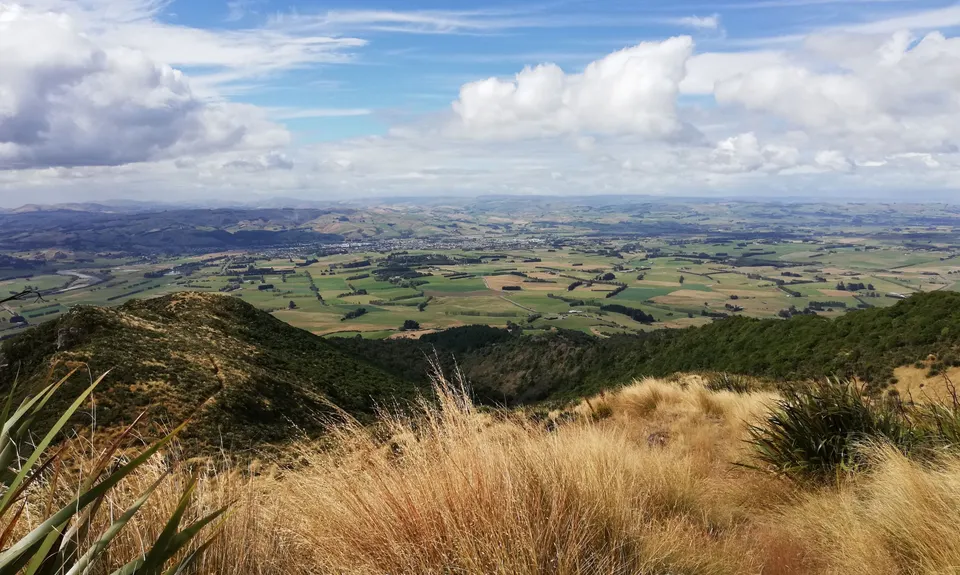 Croydon Bush - Richardson loop, Southland