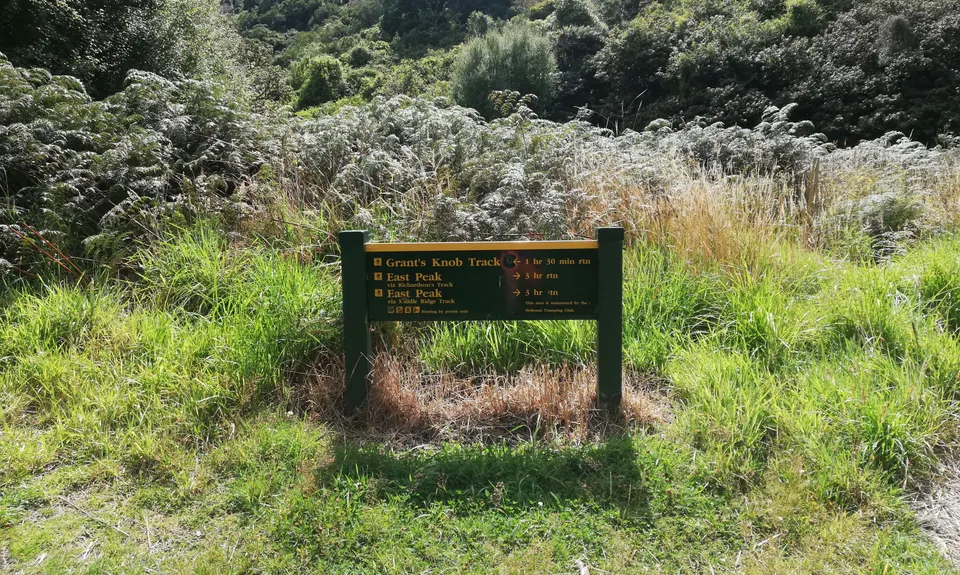 Croydon Bush - Richardson loop, Southland