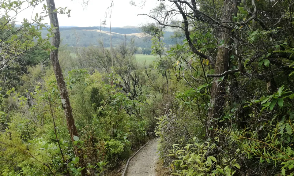 Fensham Reserve Loop, Wellington