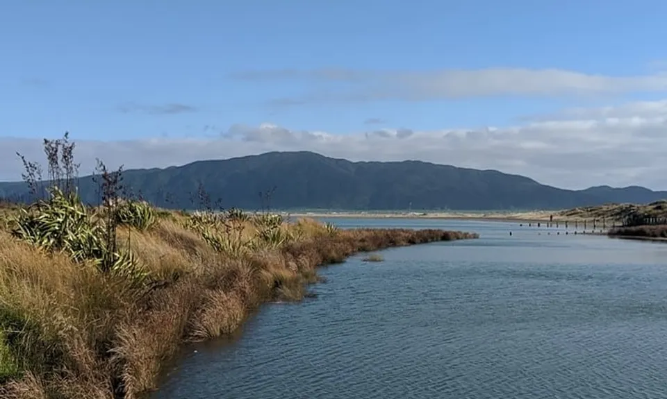 Waikanae River & Estuary, Wellington