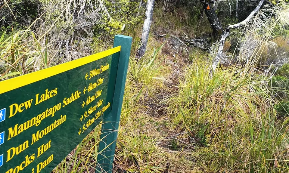 Dew Lakes Climb, Nelson