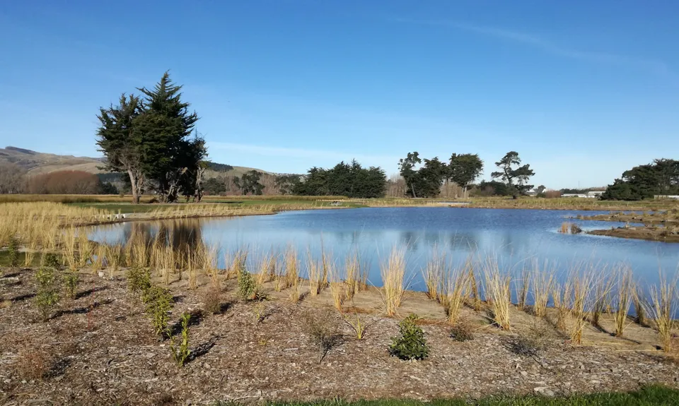 Westmorland Wetland Time Trial, Canterbury