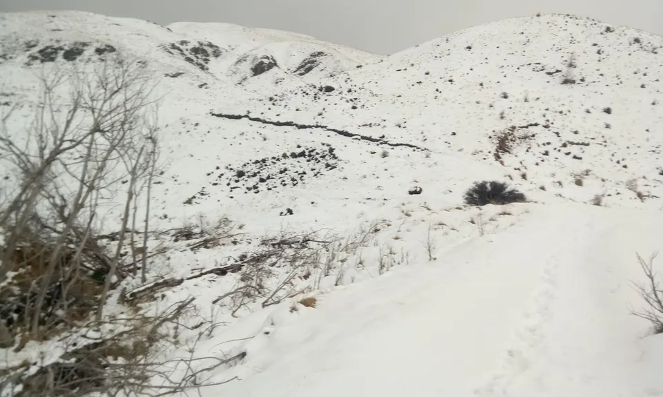 Miners Trail, Otago