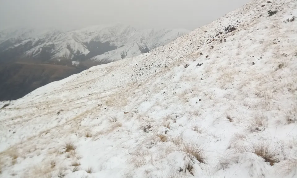 Miners Trail, Otago